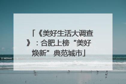 《美好生活大调查》：合肥上榜“美好焕新”典范城市