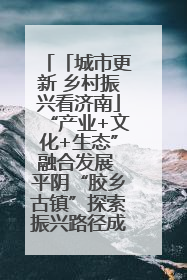 「城市更新 乡村振兴看济南」“产业+文化+生态”融合发展 平阴“胶乡古镇”探索振兴路径成效显著