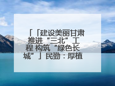 「建设美丽甘肃 推进“三北”工程 构筑“绿色长城”」民勤：厚植生态底色 筑牢绿色屏障
