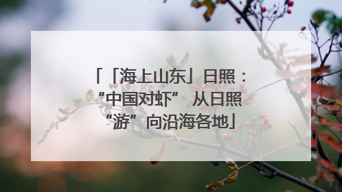「海上山东」日照：“中国对虾” 从日照“游”向沿海各地