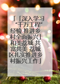 「深入学习“千万工程”经验 推进乡村全面振兴」和美荔城 共富共美 荔城区扎实推进乡村振兴工作