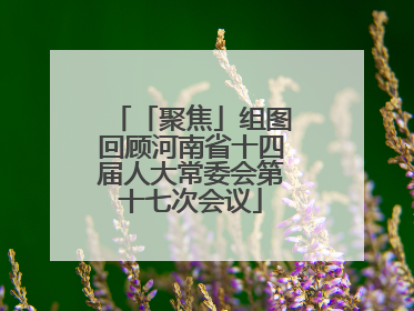 「聚焦」组图回顾河南省十四届人大常委会第十七次会议