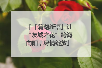 「蒲湖新语」让“友城之花”跨海向阳，尽情绽放