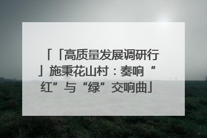 「高质量发展调研行」施秉花山村：奏响“红”与“绿”交响曲