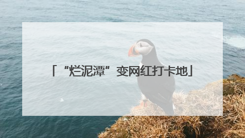 “烂泥潭”变网红打卡地