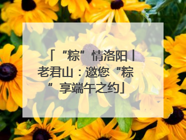 “粽”情洛阳丨老君山：邀您“粽”享端午之约
