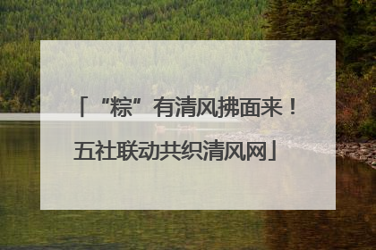 “粽”有清风拂面来！五社联动共织清风网