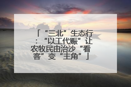 “三北”生态行：“以工代赈”让农牧民由治沙“看客”变“主角”