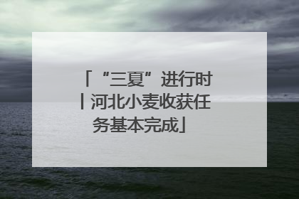 “三夏”进行时丨河北小麦收获任务基本完成