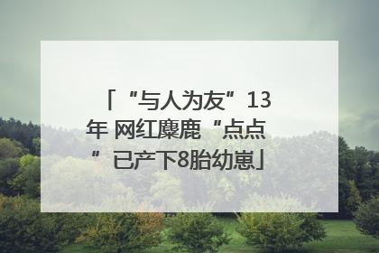 “与人为友”13年 网红麋鹿“点点”已产下8胎幼崽