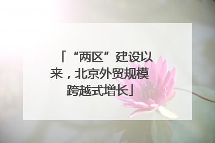 “两区”建设以来，北京外贸规模跨越式增长