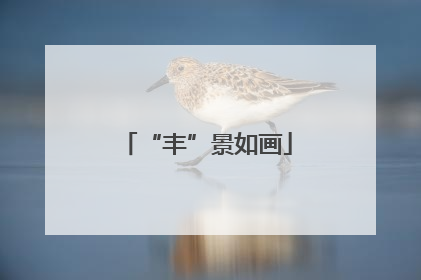 “丰”景如画