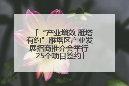 “产业增效 雁塔有约”雁塔区产业发展招商推介会举行 25个项目签约