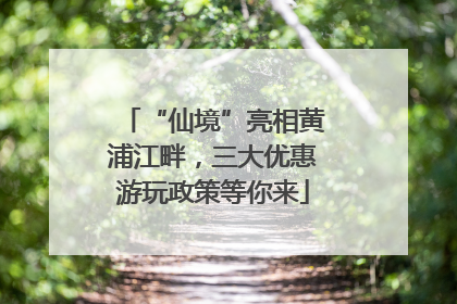 “仙境”亮相黄浦江畔，三大优惠游玩政策等你来