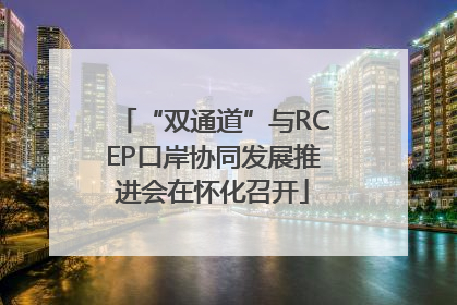 “双通道”与RCEP口岸协同发展推进会在怀化召开