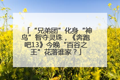 “兄弟团”化身“神鸟”智夺灵珠，《奔跑吧13》今晚“百谷之王”花落谁家？