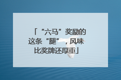 “六马”奖励的这条“腿”，风味比奖牌还厚重