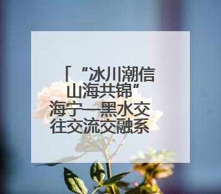 “冰川潮信 山海共锦”海宁—黑水交往交流交融系列活动启幕