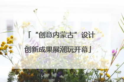 “创意内蒙古”设计创新成果展潮玩开幕