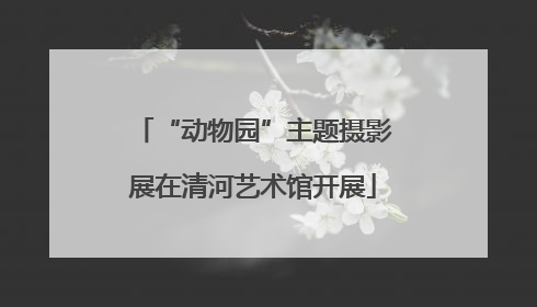 “动物园”主题摄影展在清河艺术馆开展