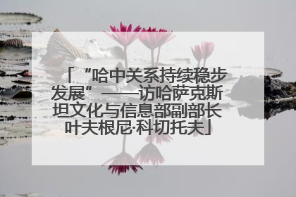 “哈中关系持续稳步发展”——访哈萨克斯坦文化与信息部副部长叶夫根尼·科切托夫