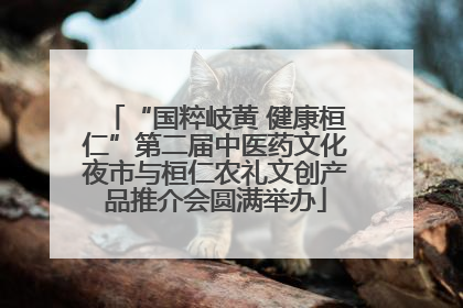 “国粹岐黄 健康桓仁”第二届中医药文化夜市与桓仁农礼文创产品推介会圆满举办