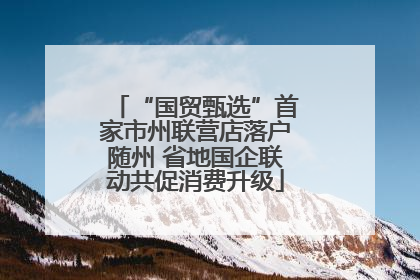 “国贸甄选”首家市州联营店落户随州 省地国企联动共促消费升级
