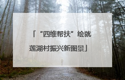 “四维帮扶”绘就莲湖村振兴新图景