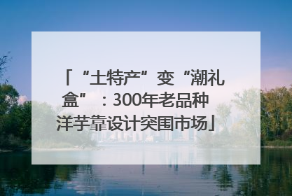 “土特产”变“潮礼盒”：300年老品种洋芋靠设计突围市场