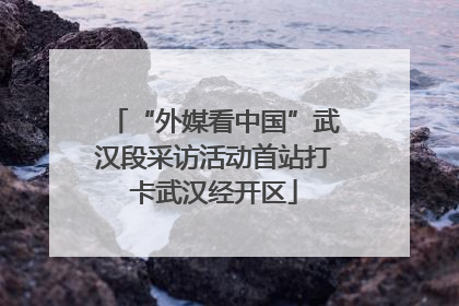 “外媒看中国”武汉段采访活动首站打卡武汉经开区