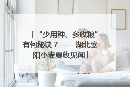 “少用种、多收粮”有何秘诀？——湖北襄阳小麦夏收见闻