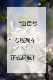 “岱岳号”专线列车正式起航