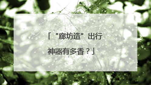 “廊坊造”出行神器有多香？