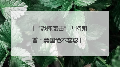 “恐怖袭击”！特朗普：美国绝不容忍