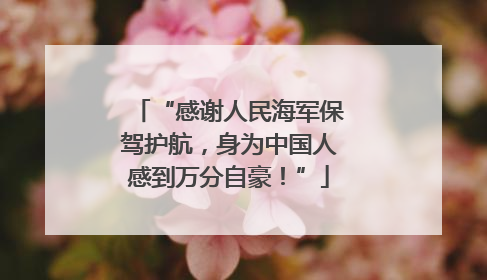 “感谢人民海军保驾护航，身为中国人感到万分自豪！”