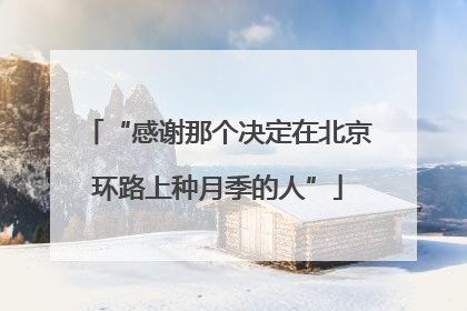 “感谢那个决定在北京环路上种月季的人”