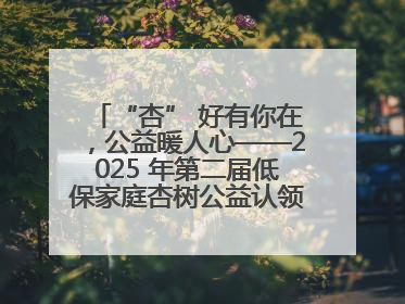 “杏” 好有你在，公益暖人心——2025 年第二届低保家庭杏树公益认领活动开启