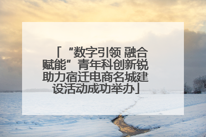“数字引领 融合赋能”青年科创新锐助力宿迁电商名城建设活动成功举办