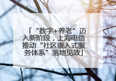 “数字+养老”迈入新阶段，上海电信推动“社区嵌入式服务体系”落地见效