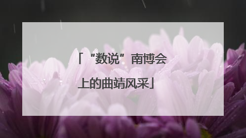 “数说”南博会上的曲靖风采