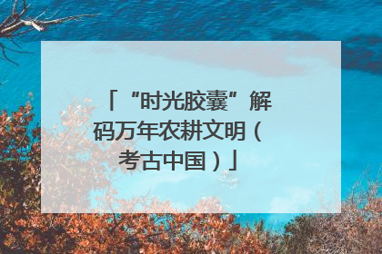 “时光胶囊”解码万年农耕文明（考古中国）