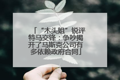 “木头姐”锐评特马交锋：争吵揭开了马斯克公司有多依赖政府合同