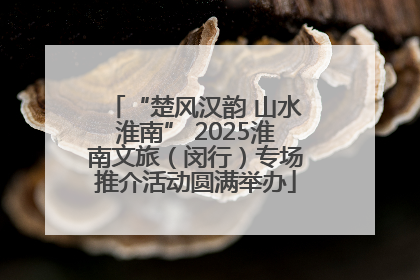 “楚风汉韵 山水淮南” 2025淮南文旅（闵行）专场推介活动圆满举办