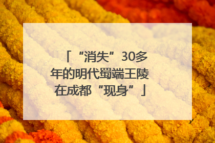 “消失”30多年的明代蜀端王陵在成都“现身”