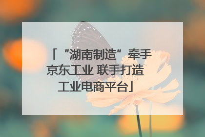“湖南制造”牵手京东工业 联手打造工业电商平台