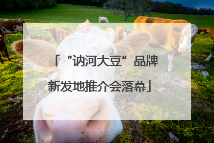 “讷河大豆”品牌新发地推介会落幕