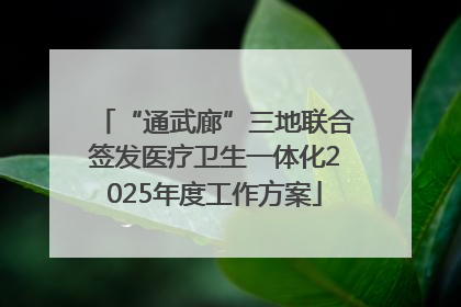 “通武廊”三地联合签发医疗卫生一体化2025年度工作方案