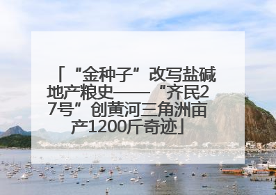 “金种子”改写盐碱地产粮史——“齐民27号”创黄河三角洲亩产1200斤奇迹