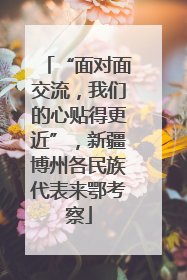 “面对面交流，我们的心贴得更近”，新疆博州各民族代表来鄂考察