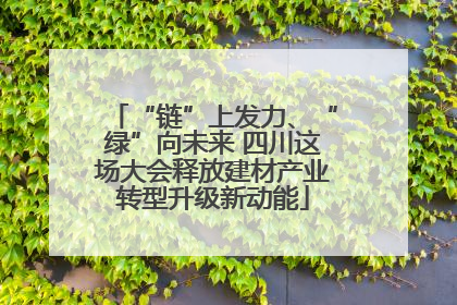 “链”上发力、“绿”向未来 四川这场大会释放建材产业转型升级新动能